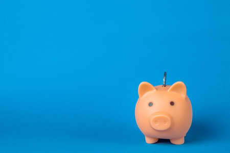 Pink piggy bank isolated on blue background.の写真素材