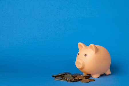 Pink piggy bank and coins on a blue background.の写真素材