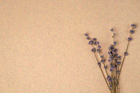 A bunch of dried lavender flowers on beige paper interspersed with colored fibers, close-up. Copy spaceの写真素材