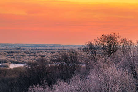Beautiful orange sky over the treetops as seen from the top of the hill. Calm winter landscapeの写真素材