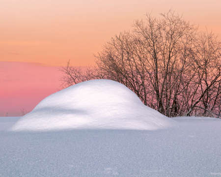 Drifts of snow and the crown of a tree against the backdrop of a beautiful pink sunset. Calm winter landscapeの写真素材
