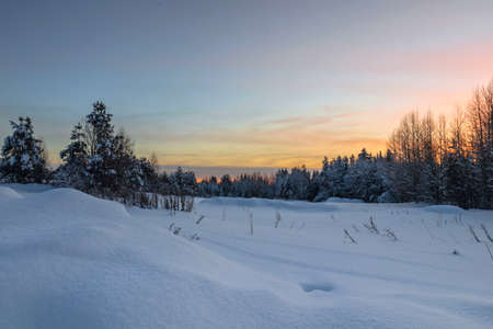 Winter morning in the forest with snow-covered trees, dawn. travel conceptの写真素材