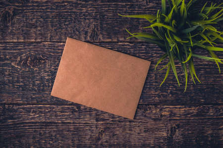 Blank sheet of old paper and houseplant on wooden table texture.の写真素材