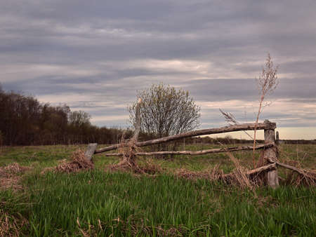 Rural landscape with an old wooden fence and bushes on the field. vintage styleの写真素材