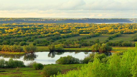 Beautiful summer view of a green meadow with a river and trees.の写真素材
