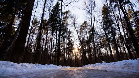 ice road in sunset in moscow parkの写真素材