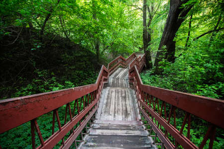 wooden pedestrian bridgeの写真素材
