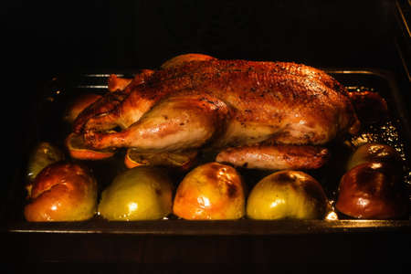 cooking duck in ovenの写真素材