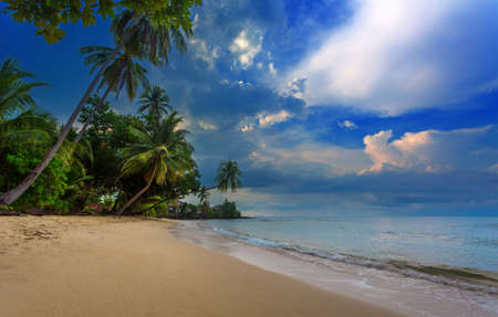 beautiful tropical beachの写真素材