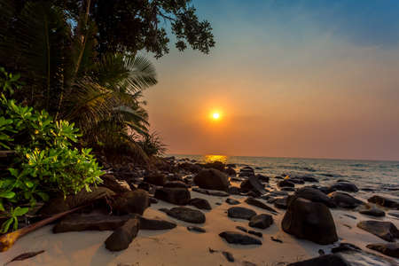 sunset on a tropical beach
