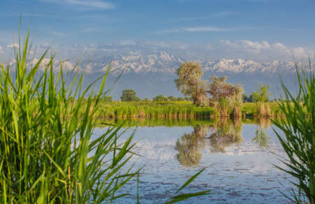 landscape with a pondの写真素材