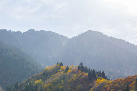 Misty perspective in autumn mountainsの写真素材