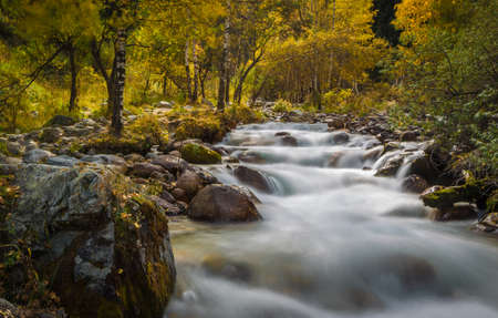 mountain river rapids in autumnの写真素材