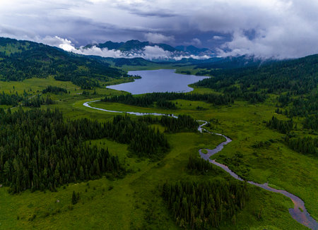 Aerial view of the lake and forest in the mountains. Drone photography