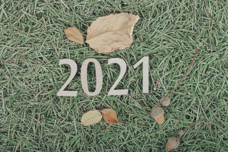 2021 cardboard letters on on Christmas tree needlesの写真素材