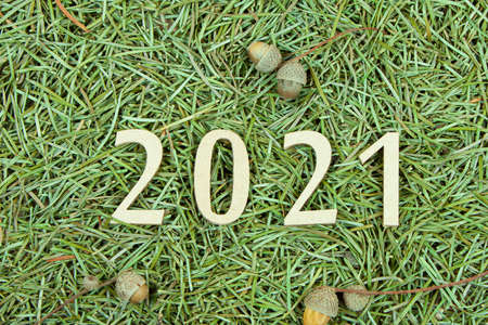 2021 corrugated cardboard saddle on the grassの写真素材