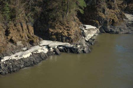 The mountain river Katun in the spring, runs at the foot of the Altai Mountains, along the coast...