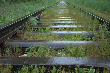 Abandoned, old railway line covered with grass, going through the forest after the rain.