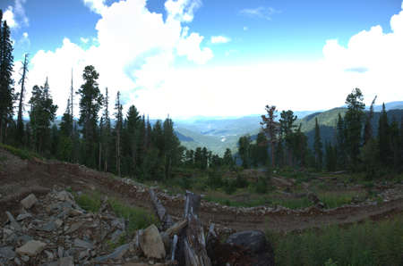 An impassable mountain road littered with logs.