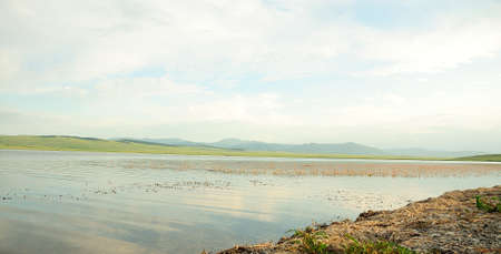 Part of the shore of a large calm lake with low thickets of reeds lying in an intermountain basin. Lake Fyrkal, Khakassia, South Siberia, Russia.の写真素材