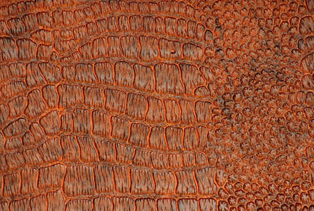 Close-up of dark brown reptile skin. Background, pattern, texture.