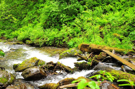 Fallen tree trunks and stone boulders overgrown with moss in the path of the rapid flow of a...