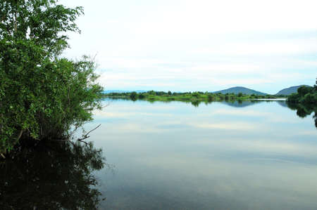 A look through the bushes at the calm expansion of a large lake at the foot of high hills....
