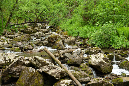 Felled tree trunks and large stones in the bed of a swift stream flowing down from the mountains through the summer forest. Tevenek River (Third River), Altai, Siberia, Russia.の写真素材