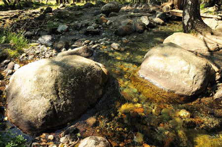 Large stones in the rapid bed of a shallow river flowing through the autumn forest in the early...