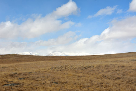 Hilly boundless steppe with dry grass at the foot of a mountain range with snow-capped peaks in the...