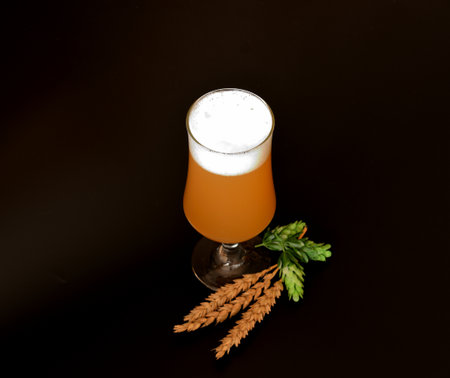 A tall glass of wheat beer with thick white foam on a black background, next to ears of cereal and...