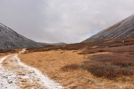 A winding field road, covered with the first snow, rises to a hill sandwiched between two mountain ranges on a cloudy autumn day.の写真素材