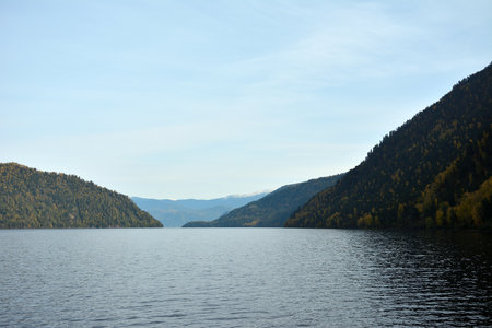 The rippled surface of a large lake surrounded by high mountains covered with coniferous forest on a sunny autumn evening. Lake Teletskoye, Altai, Siberia, Russia.の写真素材
