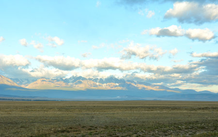 Endless steppe in the shade and snowy mountain range in the clouds illuminated by the rising sun on a summer morning. Kurai steppe, Altai, Siberia, Russia.の写真素材