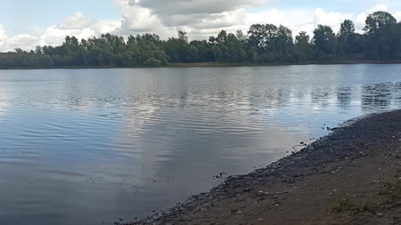 Ripples on the surface of a river bed with sandy banks and tall bushes and trees on a cloudy summer...