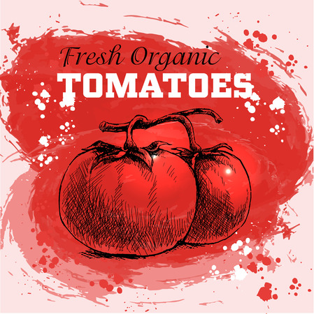 Hand drawn sketch style tomatoes on red watercolor backgroundのイラスト素材