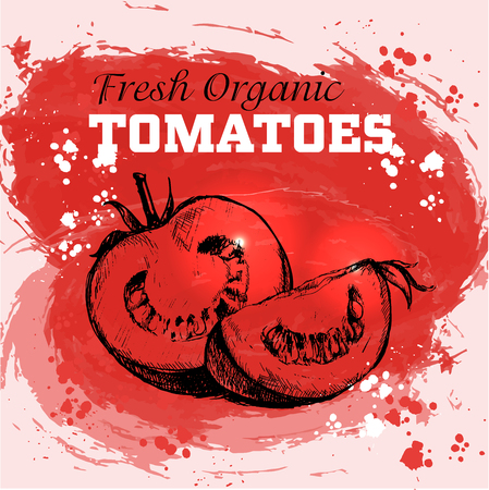 Hand drawn sketch style tomatoes on red watercolor backgroundのイラスト素材