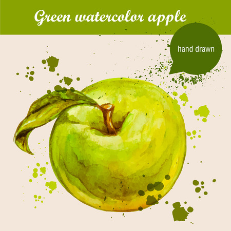 Vector watercolor hand drawn green apple with leaf and watercolor drops. Organic food illustration.のイラスト素材