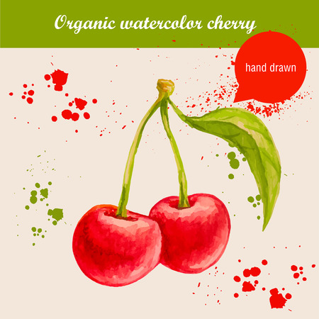 Vector watercolor hand drawn group of cherries with watercolor drops. Organic food illustration.のイラスト素材