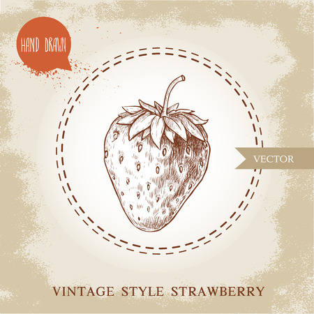 Hand drawn strawberry isolated on vintage background.Retro sketch style vector eco food illustration.のイラスト素材