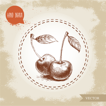 Hand drawn cherries isolated on vintage background.Retro sketch style eco food illustrationのイラスト素材