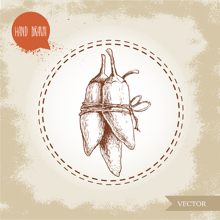 Hand drawn sketch style jalapeno peppers. Vintage eco food vector illustration. Grunge background.のイラスト素材