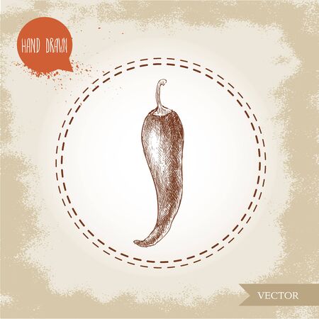 Hand drawn sketch style chili pepper. Vintage eco food vector illustration. Grunge background.のイラスト素材