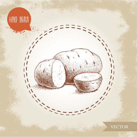 Hand drawn sketch style illustration of ripe potatoesand slices. Eco food vintage vector illustrationのイラスト素材