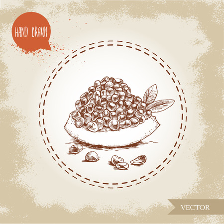 Hand drawn organic piece of pomegranates seeds and leafs. Sketch style illustration.のイラスト素材