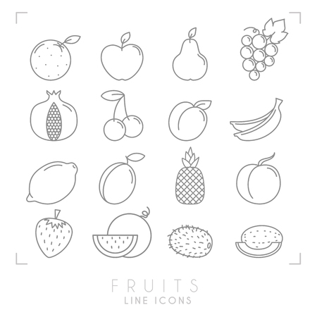 Set of line Fruit icons. Flat style. Orange, apple, pear, grape, pomegranate, cherry, apricot, banana, lemon, plum, pineapple, peach, watermelon, kiwi, melon, strawberry.のイラスト素材