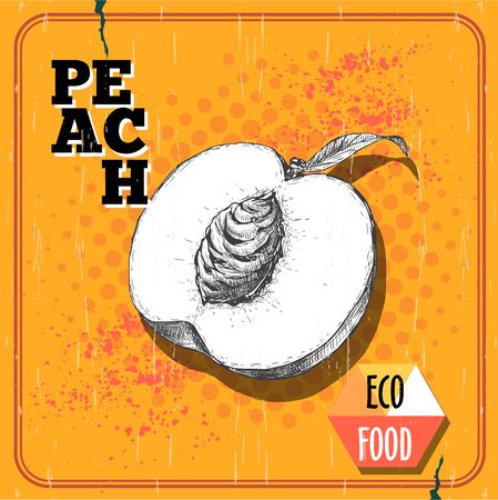 Hand drawn sketch style cut peach fruitのイラスト素材