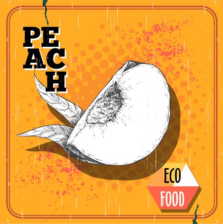 Hand drawn sketch style quarter cut peach fruit.のイラスト素材