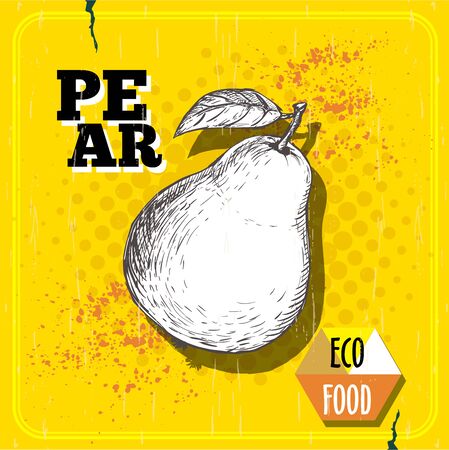 Hand sketch pear in vintage style, an Eco food illustration on yellow half tone layout.のイラスト素材