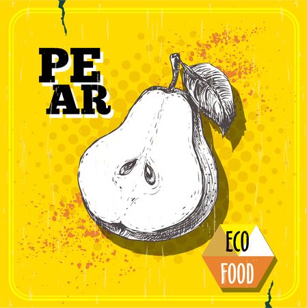 Hand sketch pear in vintage style, an Eco food illustration on yellow half tone retro layout.のイラスト素材